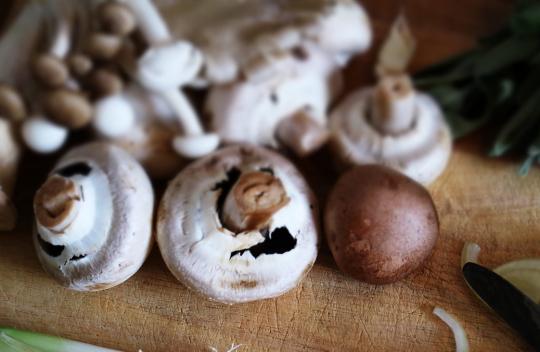 funghi (foto Pixabay)
