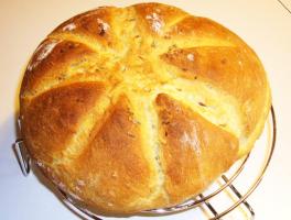 pane di semola con semi di finocchio