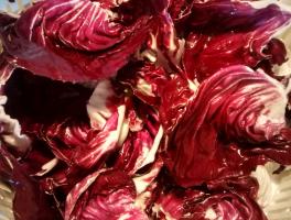 radicchio